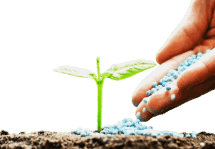 Fertilizers